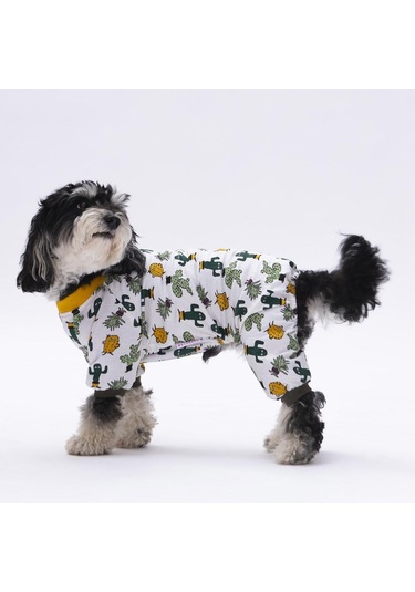 Pettrend Kaktüs Desenli Kedi Köpek Kıyafeti Penye Tulum