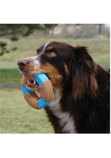 Kong Core Strength Halka Şeklinde Köpek Oyuncağı S