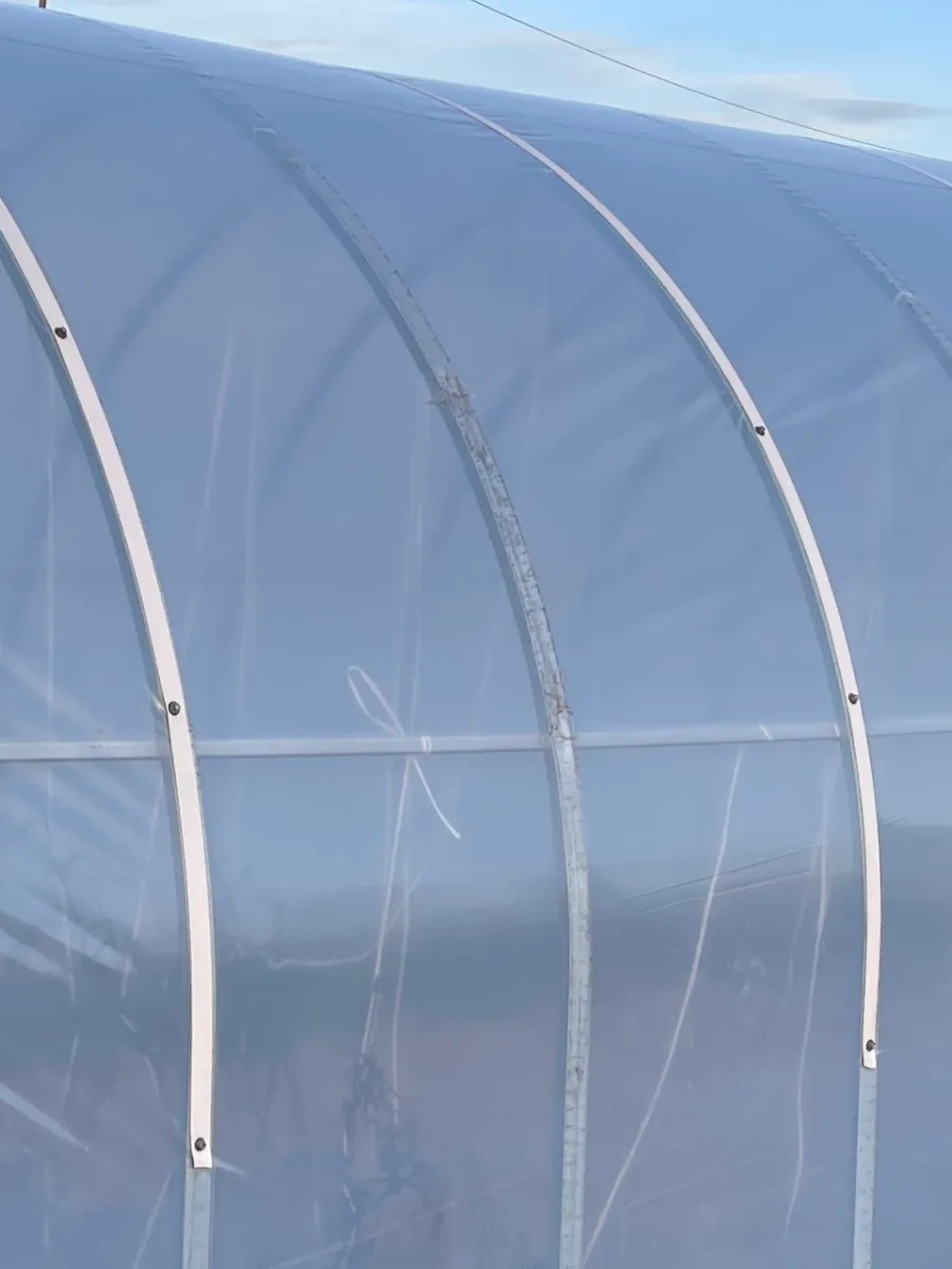 Svetlica Film Sabitleme Bantları 303171938