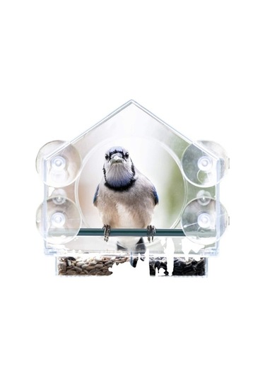 Pazly Ev Şeklinde Plastik Akrilik Kuş Yemliği - 21,5x20,5x10 Cm - Organik Cam - Evcil Hayvanlar İçin Güzel Tasarım