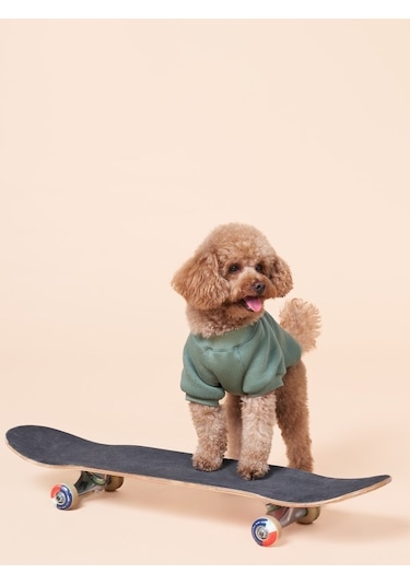 Duckdash Küçük ve Orta Irk Köpekler İçin Köpek Sweatshirt