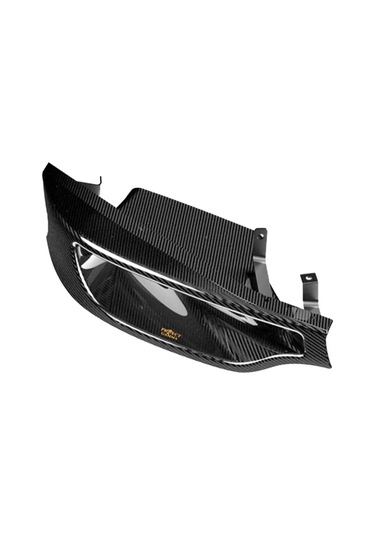 Project Gamma Bmw F8x M3-m4 Carbon Fiber Headlight Delete
