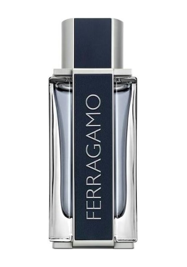 Salvatore Ferragamo Men Edt 100 Ml 8056860210815 Diğer
