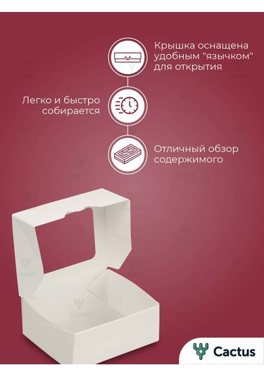 Cactus Kendin Yap Hediye Kutusu, Kağıt Dolgu Malzemesi İle 209739738