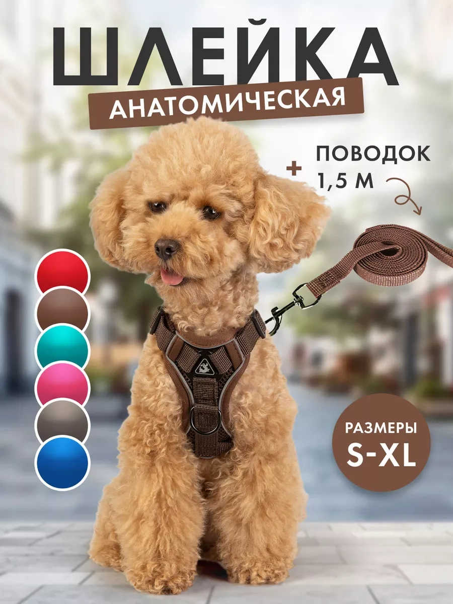 Purrfect Place Köpekler Ve Kedi İçin Tasma Şeritli Tasma 253725673