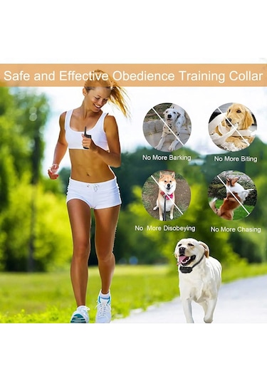 Zilinn 3000ft Köpek Şok Tasması, Su Geçirmez Ve Şarj Edilebilir Evcil Hayvan Eğitmeni