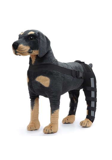 Homyl Köpekler Arka Bacaklar Dizlik Siyah-mavi-küçük