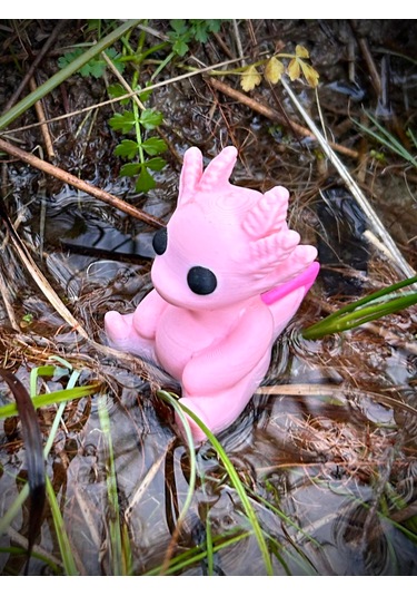 Axolotl Biblo Oyuncak 3D Yeni Nesil Organik Model - Orta Boy