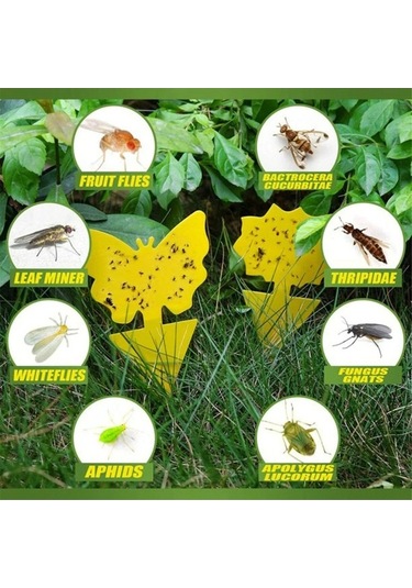 Pazly 20'lik Sarı Yapışkan Böcek Tuzağı - Ev Ve Bahçe İçin Uv Dayanımlı, Kokusuz Sinek Yakalama Levhaları