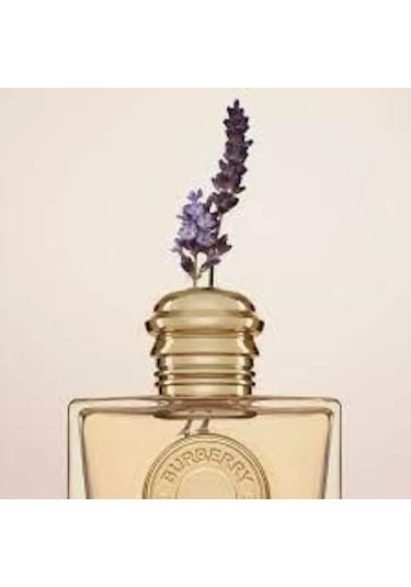 Burberry Goddess Kadın Parfüm EDP 50 ML