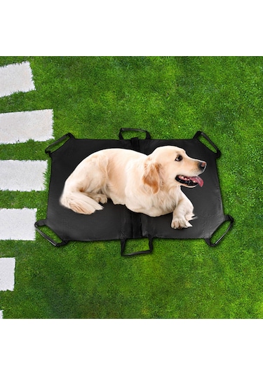 Homyl Evcil Hayvan Taşıma Sedyesi Taşınabilir Acil Kurtarma