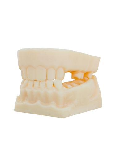 Barışhan Medikal Silikon Çene Diş Dikiş Modeli Ortodontik Alt Üst Çene Periodontal Sütür Eğitim Modeli-1