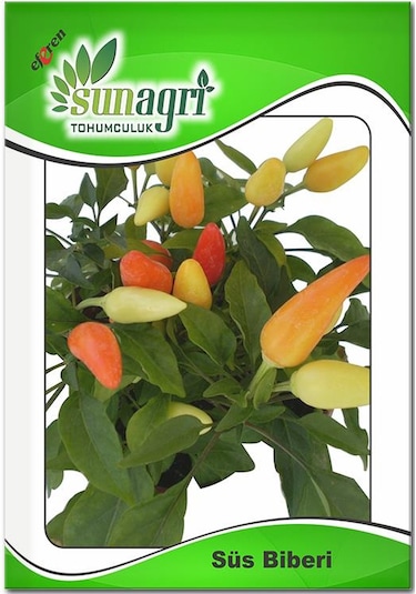 Sarı Topak Süs Biberi Acı Biber Tohumu Turşuluk 5 GR