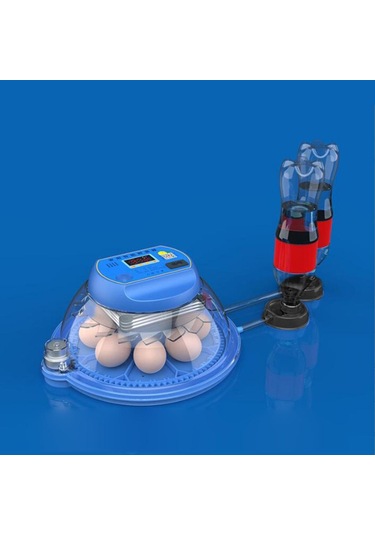 Suntek Yumurta Kuluçka Makinesi Otomatik Tek-elektrikli