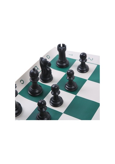 Sones Taşıma Çantasıyla Birlikte 34,5 Cm Katlanabilir Taşınabilir Satranç Takımı