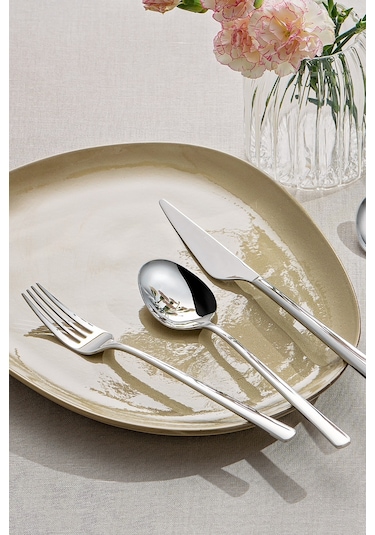 Emsan Ladin 84 Parça 12 Kişilik Çatal Kaşık Bıçak Seti Kutulu Gümüş