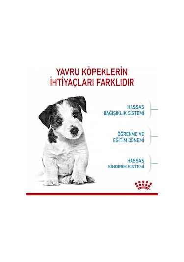 Royal Canin Mini Junior Küçük Irk Yavru Köpek Maması 800 G