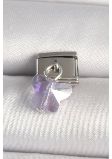 Evyora 316l Çelik Gümüş Renk Mor Zirkon Taşlı Nomination Charm Mor