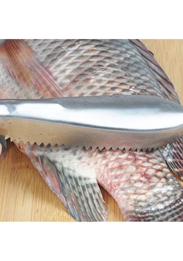 Pratik Balık Pulu Kazıyıcı Aparat Diğer