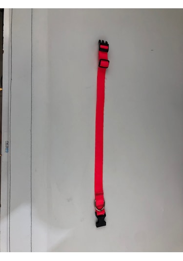 Mita Ayarlanabilir Köpek Boyun Tasması Neon Pembe