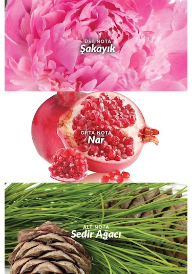 Avon Eve Truth Kadın Parfüm EDP 50 ML