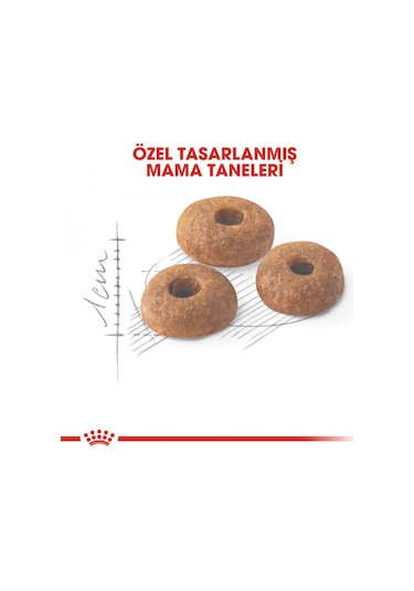 Royal Canin Adult Regular Fit 32 Kedi Maması 2 KG