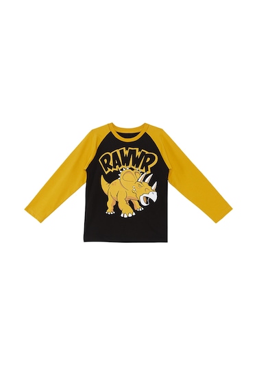Denokids Mshb&g Rawr Erkek Çocuk T-shirt Pantolon Takım Çok Renkli