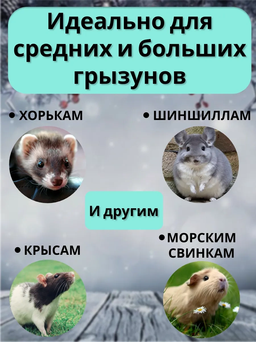 Petipet Kemirgenler İçin Tereddüt Tüneli Hamak Ev Yatak 229520547