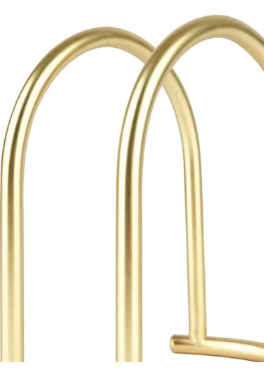 Pomidoro. Mutfak İçin Dekoratif Metal Peçetelik 289920159 Altın Rengi