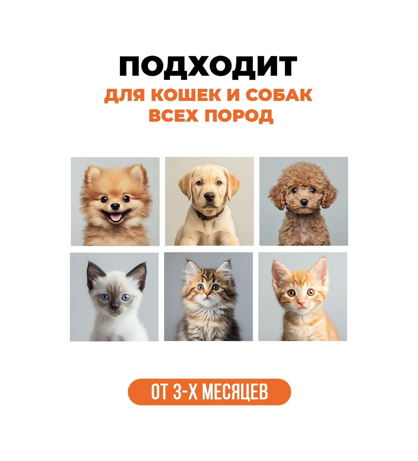 Spets Yavru Kediler Ve Yavru Köpekler İçin Köpük Şampuan, Hipoalerjenik, 200 Ml 269936865