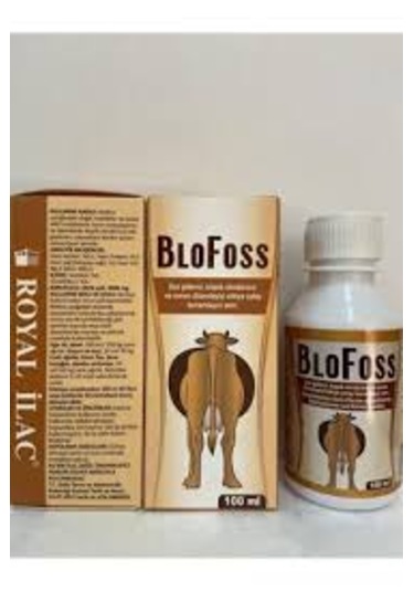 Blofoss Şurup 100ml