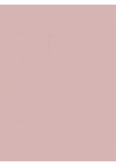 Wagner Boya Wabıesılan Silikonlu Dış Cephe Boya 2,5 Lt