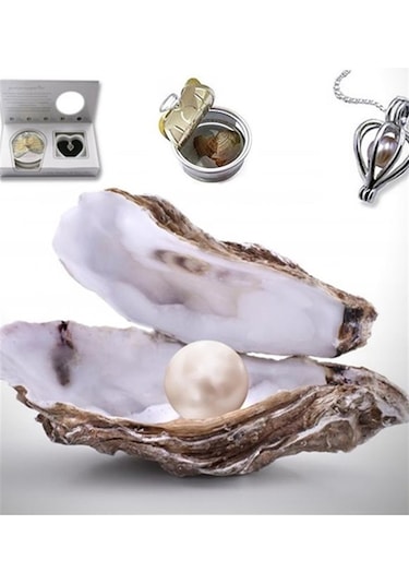 İstiridye İçinde Gerçek İnci Kolye 1260 Altın