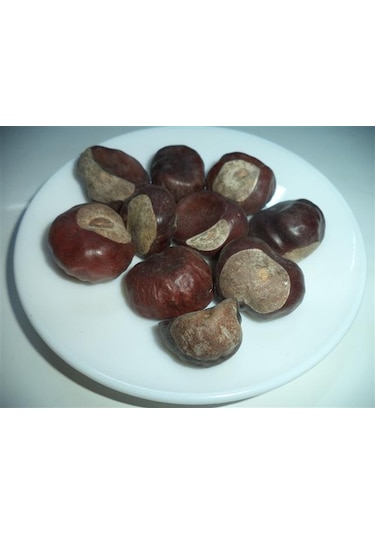 As Baharat At Kestanesi 1. Kalite 100gr
