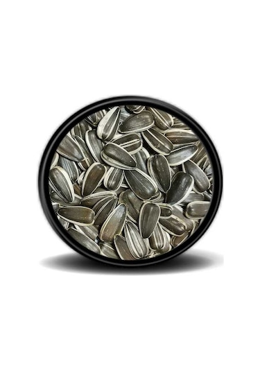 Dakota Çekirdek 1 KG Papağan Yemi