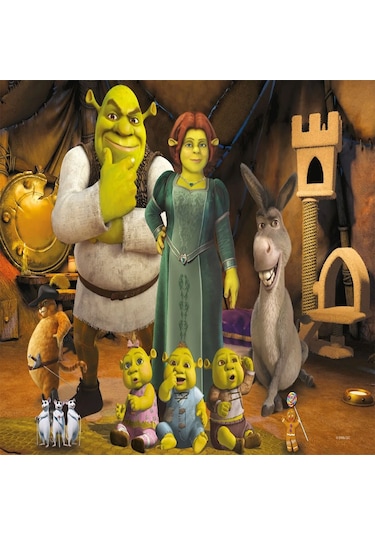 Sh 709 Shrek Puzzle 50 Prç