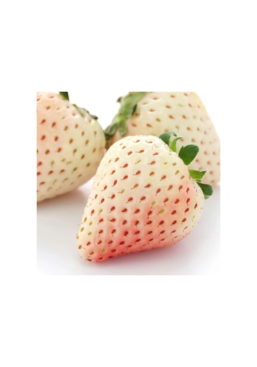 Beyaz Çilek Fidesi Pineberry 6 Adet