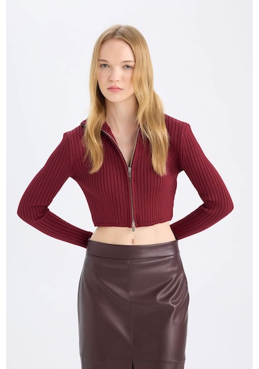 Defacto Coool Yarım Balıkçı Yaka Fermuarlı Triko Hırka B2558AX24AUBR415 Bordo