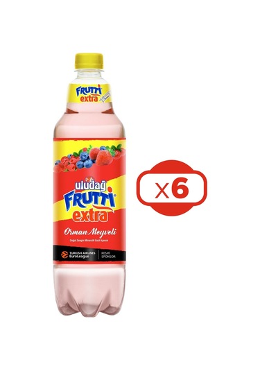 Uludağ Frutti Extra Orman Meyveli 1 Lt X 6 Adet