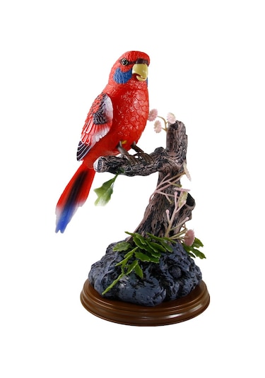 Vardem Kutulu Kalemlikli Papağan