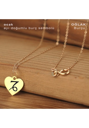 Ocak Ayı Doğumlarına Özel Zincirli 14 Ayar Altın Plakalı Kalp Motifli Hediyelik Kolye-352ay Ocak