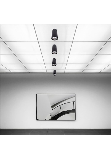 Silindir Philips Ledli 30w Siyah Tavan Armatürü Gün Işığı Işık