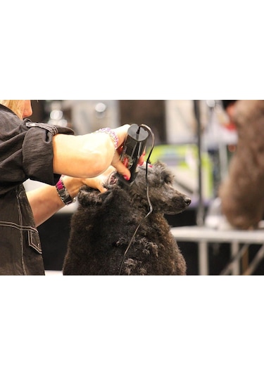 Heiniger Saphir Cord Elektrikli Evcil Hayvan Kırkma Makinesi Siyah