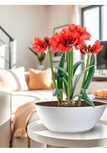 Tiko Home Çiçek Saksısı, Saksı Bot 3 Litre 2 Adet. 146205662