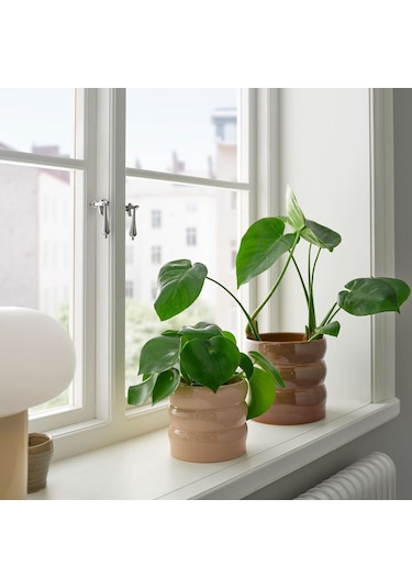 Seramik Saksı, Bej, 12 Cm 3 Adet