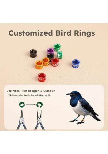 Elmpaly 10 Adet Alüminyum Kuş Bileziği 4.7 Mm Rastgele Renk Dayanıklı Kişiselleştirilmiş Kuş Eğitimi