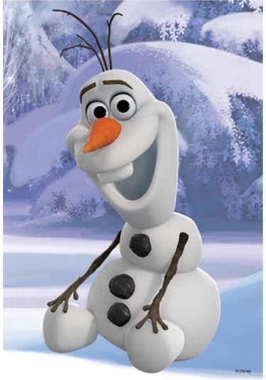 Vardem Oyuncak 54 Pcs Mini Puzzle Frozen 19502