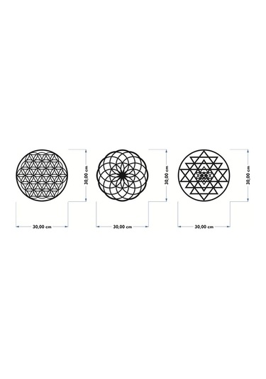 Yaşam Çiçeği Sri Yantra Torus Nefesi Üçlü Tablo