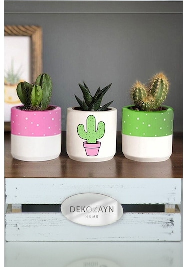 Kaktüs Desenli Beton Saksı 3'lü Set