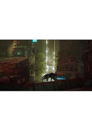 Annapurna Interactive Stray Nintendo Switch Oyun